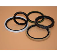 Rotary Glyd Ring