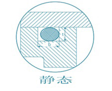 无标题.jpg